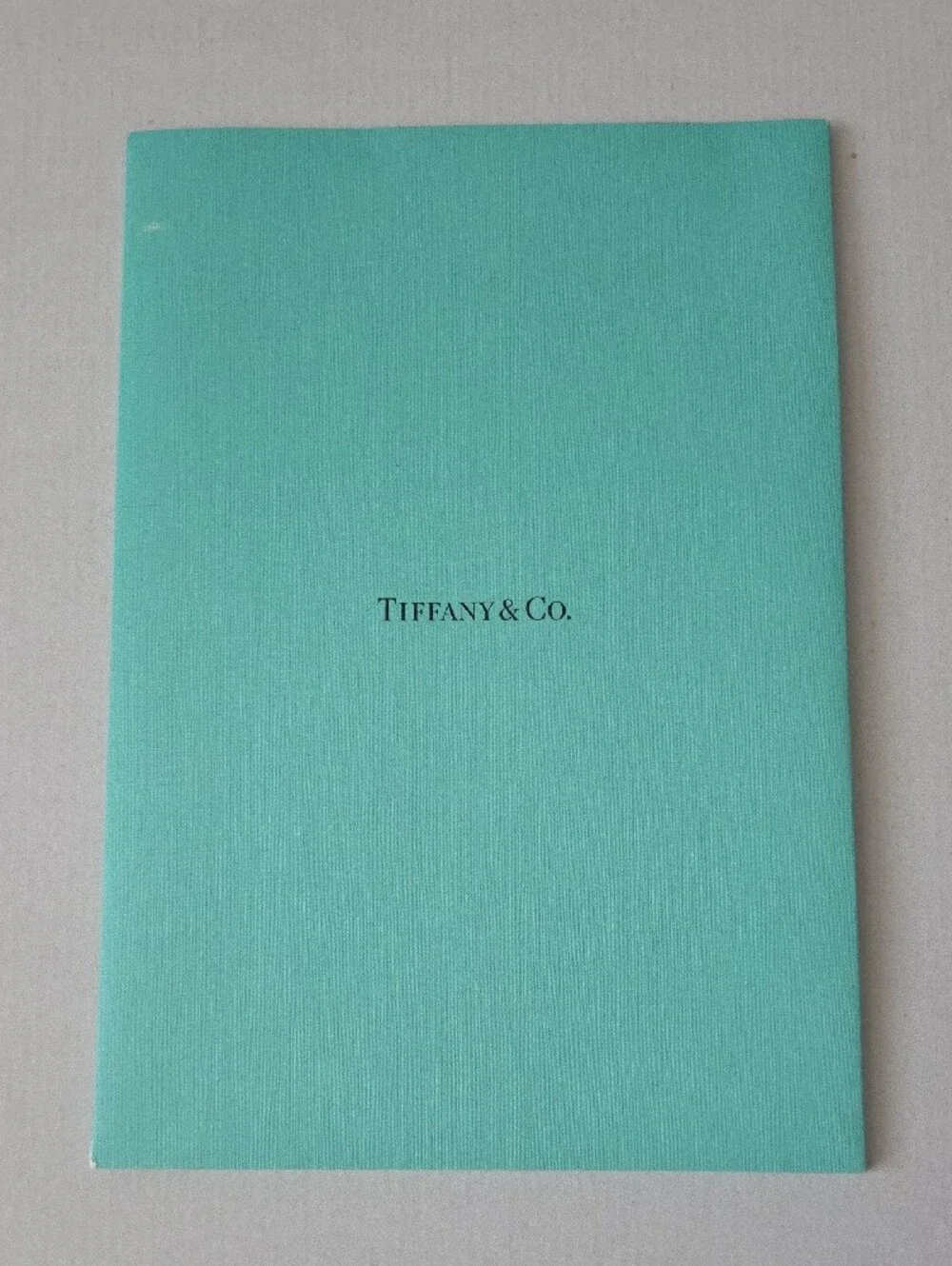 Tiffany & Co. Turquoise Document Pocket Folder